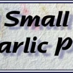 Small Garlic Press