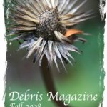 Debris Magazine