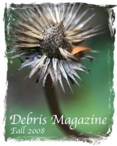 Debris Magazine