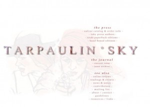 Tarpaulin Sky