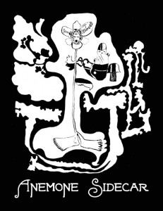 The Anemone Sidecar