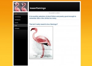 Lesser Flamingo
