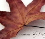 Autumn Sky Poetry