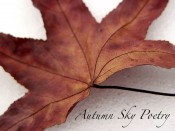 Autumn Sky Poetry