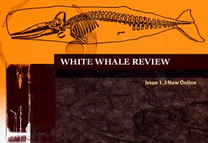 White Whale Review