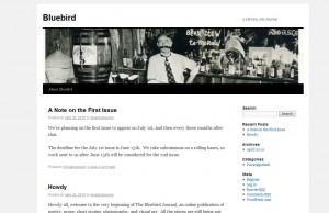 The Bluebird Journal