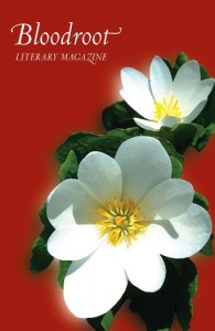 Bloodroot Literary Magazine