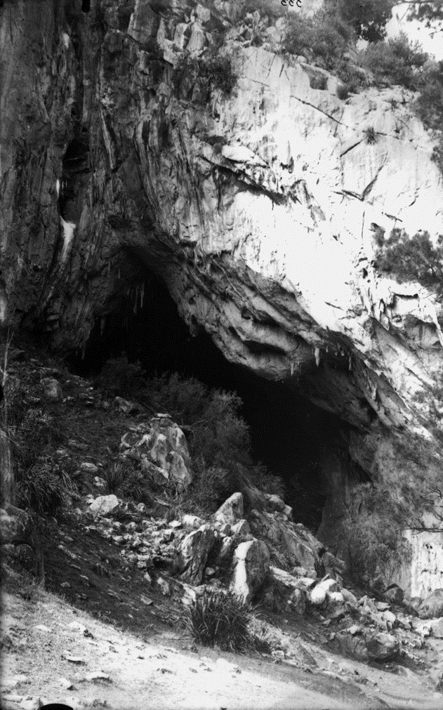 Ghamba By William Charles Scully image-820