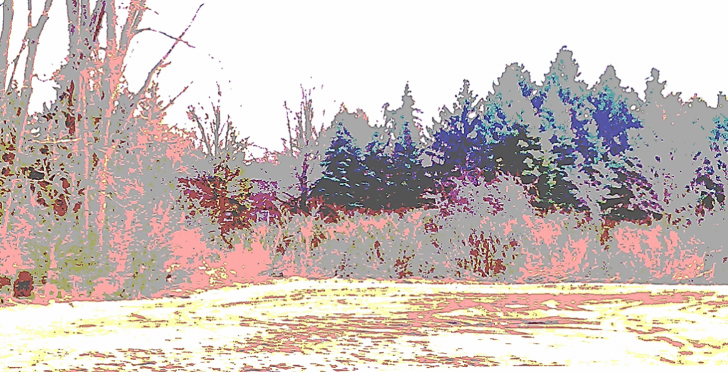 field