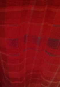 Flannel Shirt by Kris Estebo