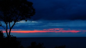 Poem: Enough by Tricia McCallum Poetry