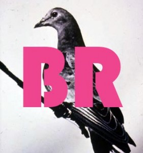Lit Mag: Bennington Review Featured Literary Magazine