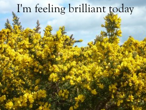 Lit Mag: Brilliant Flash Fiction Featured Literary Magazine