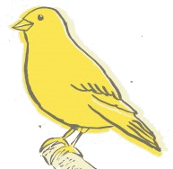 canary