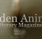 Hidden Animals Hidden Animals