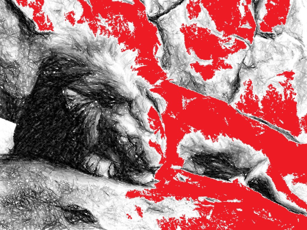 Bleeding Lion A Journal of Contemporary Arts & Letters Literary