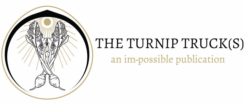 Turnip_logo_IV