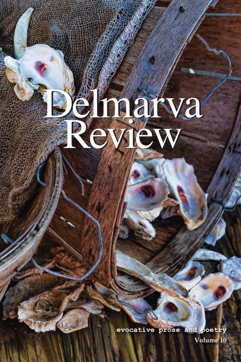 DR-V10-FrontCover-Internet