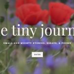 the tiny journal