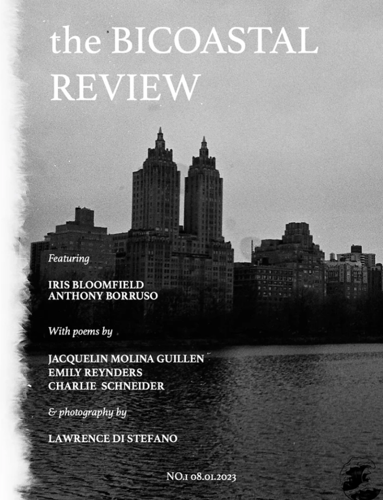 BR-Issue-1