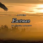 Eastman by Amanda Iacampo