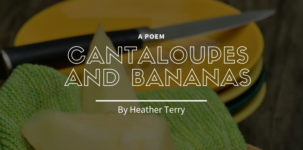 Cantaloupes and Bananas by Heather Terry