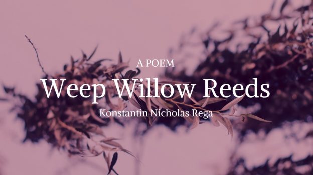 Weep Willow Reeds by Konstantin Nicholas Rega