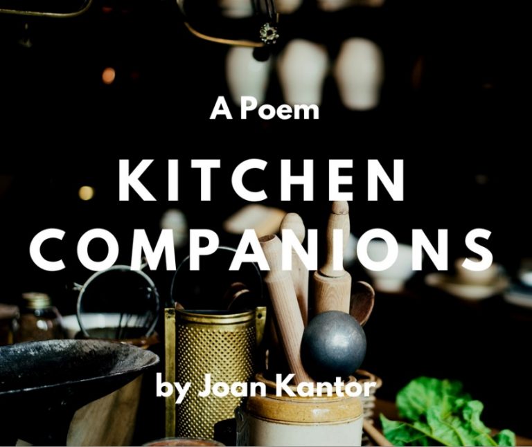 Kitchen Companions
