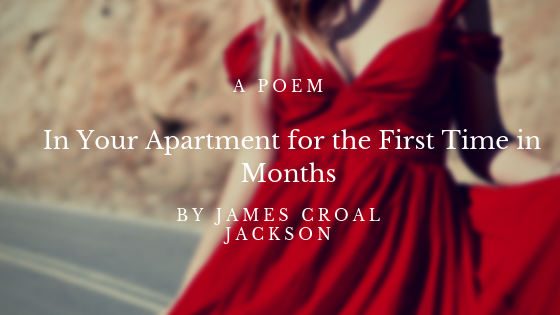 In Your Apartment for the First Time in Months by James Croal Jackson