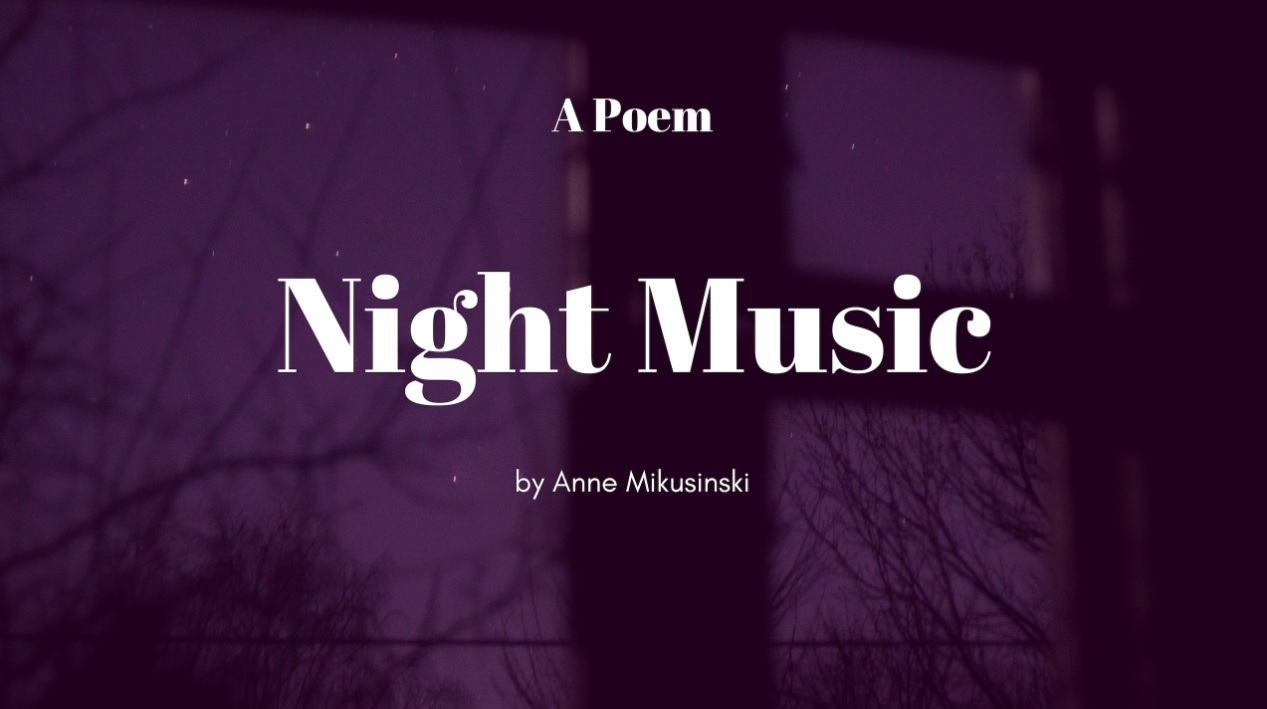 Night Music by Anne Mikusinski