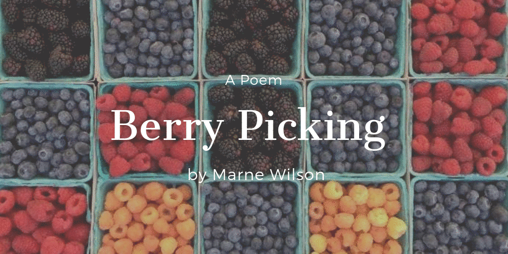 Berry Picking by Marne Wilson