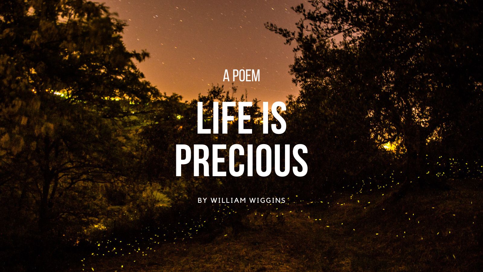 Life is Precious by William Wiggins