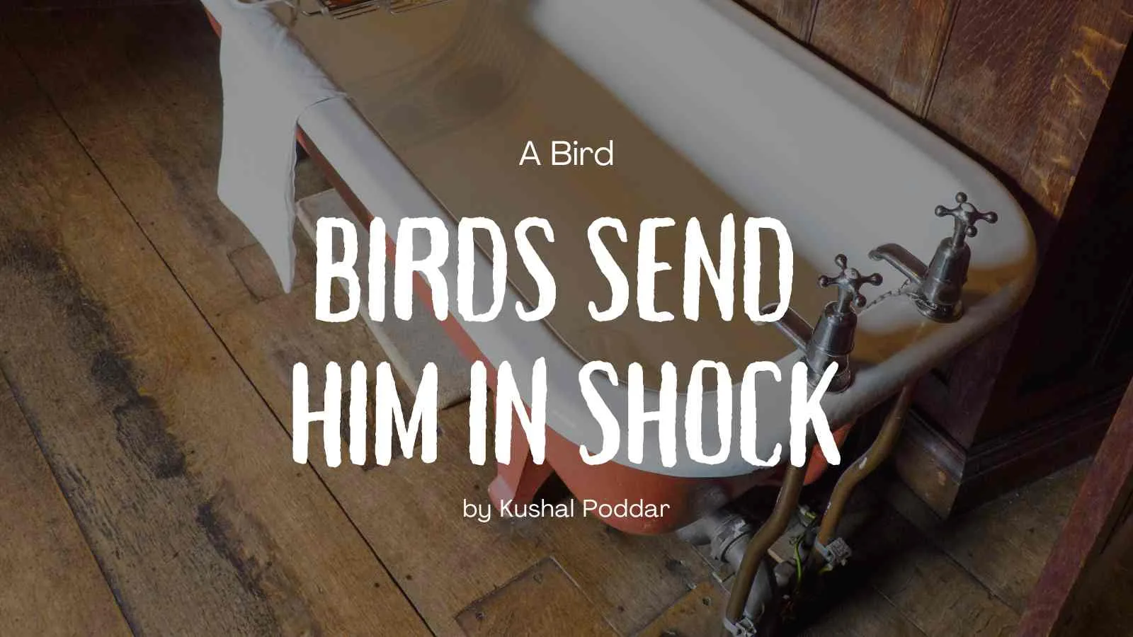 Birds Send Him in Shock by Kushal Poddar