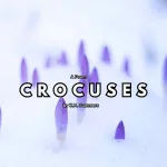 Crocuses by J.M. Summers