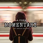 Momentary by Bruce McRae