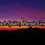 Black Spider, Purple Grace by Kris Statler