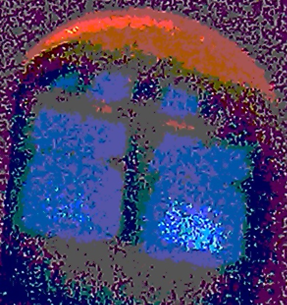 window