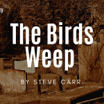 the birds weep a story by steve carr
