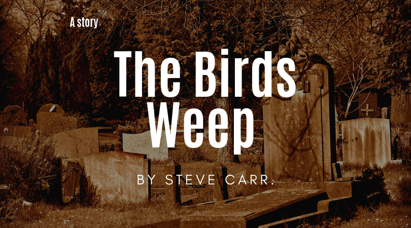 the birds weep a story by steve carr