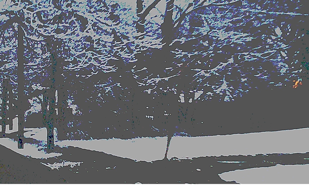 creative writing prompt picture of a woods