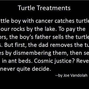 turtletreatments