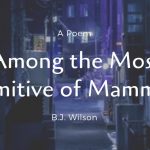 Among the Most Primitive of Mammals1