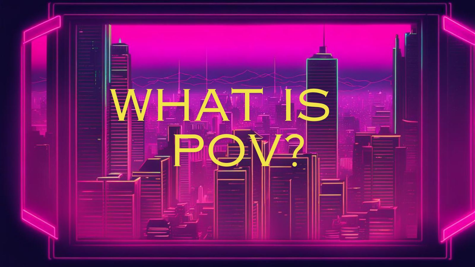 what is pov