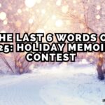 Lights snow and trees looking like the holidays with the tagling The last 6 words of 2025 contest