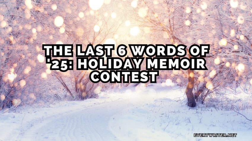 Lights snow and trees looking like the holidays with the tagling The last 6 words of 2025 contest